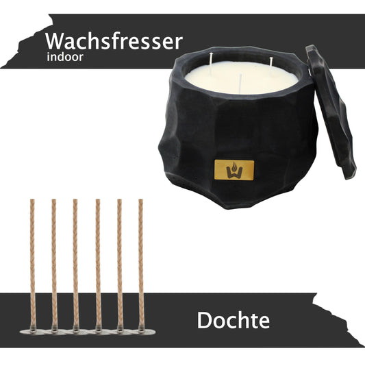 Wachsfresser Indoor Bundle